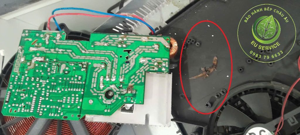 Sửa bếp từ Faster không lên nguồn - chập mạch do côn trùng xâm hại