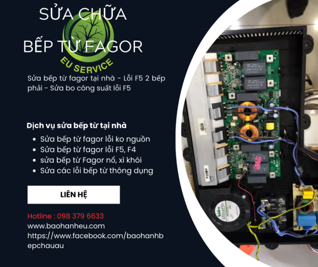 Sửa chữa Bếp từ FAgor lỗi F2