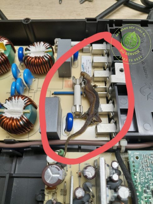 sửa bếp từ Teka lỗi F43