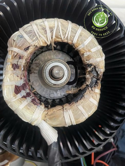 thay động cơ hút mùi miele chính hãng