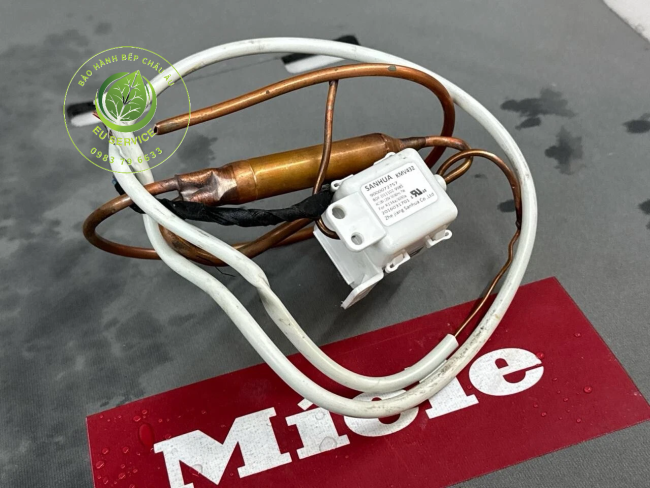 thay van tiết lưu tủ lạnh Miele