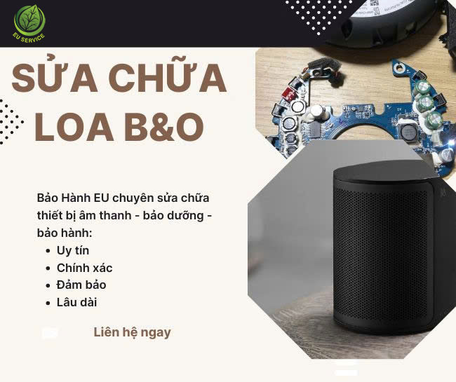 Sua-chua-loa-B&O