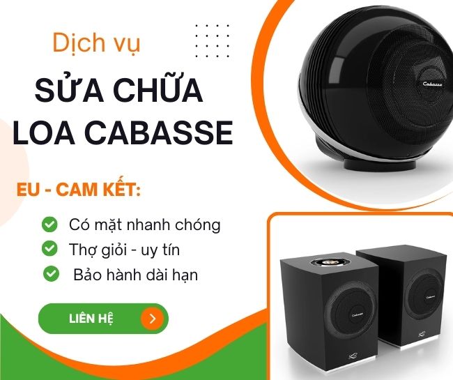 sửa chữa loa bluetooth Cabasse