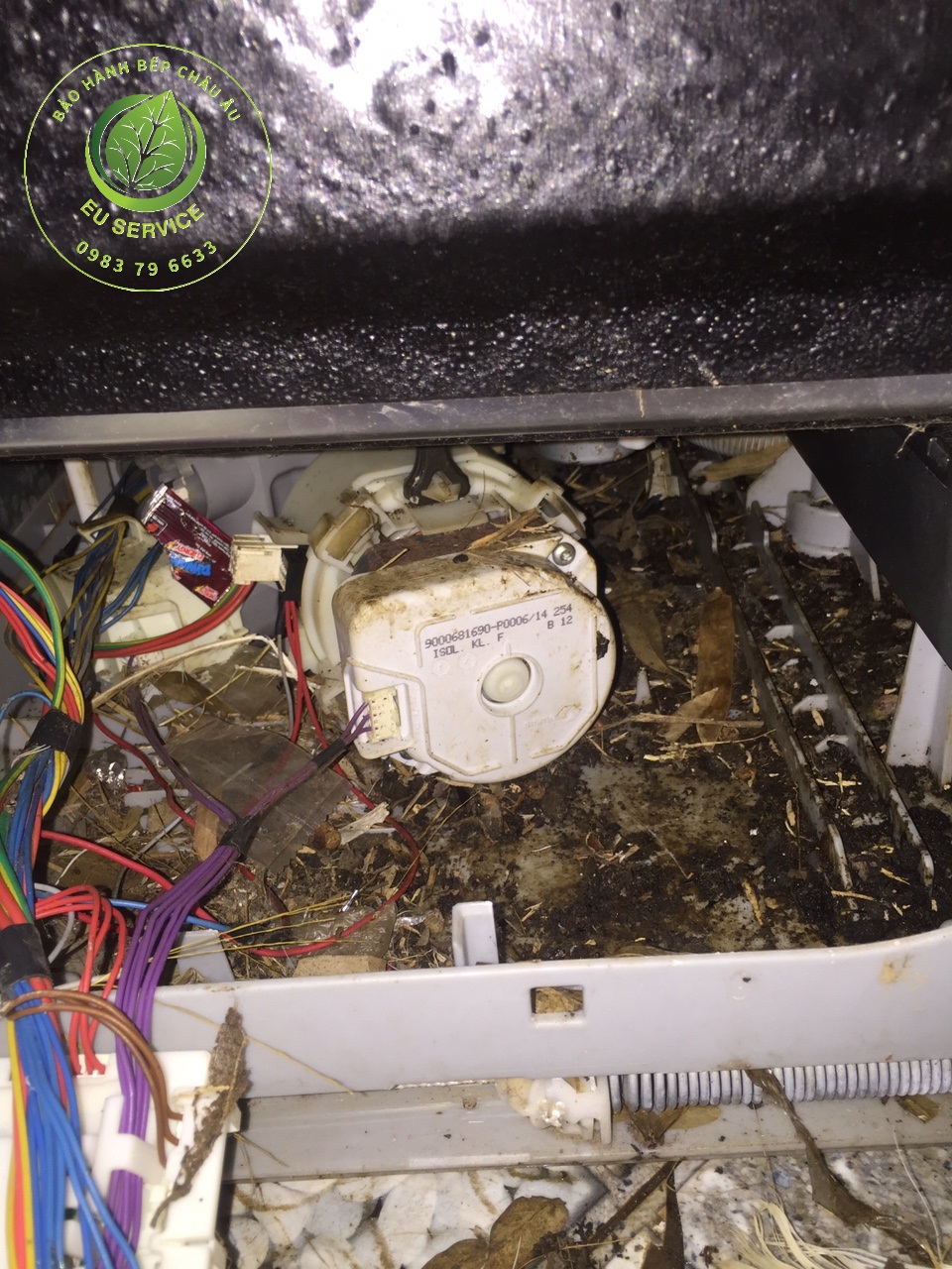 sửa máy rửa bát Brandt mất nguồn do chuột cắn dây